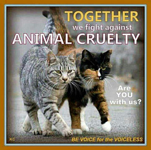 TOGETHER we fight against ANIMAL CRUELTY!