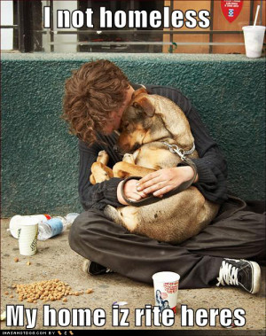 homeless man homeless funny dog pictures homeless hug