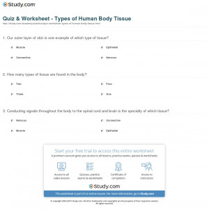 What is Human Body Tissue? - Definition, Types & Examples