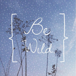 Be wild. Adventure quotes.