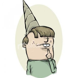 Funny Dunce Hat