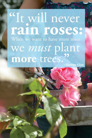 It will never rain roses: When we want to have more roses we must ...