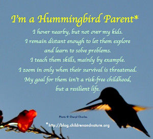HUMMINGBIRD PARENTS”: Seven Actions Parents Can Take To Reduce Risk ...