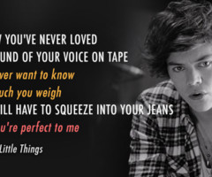 Harry Styles Little Things Lyrics Little things quote (about fat