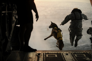 My Favorite Photo Ever: A Military Dog Jumping Out of a Helicopter