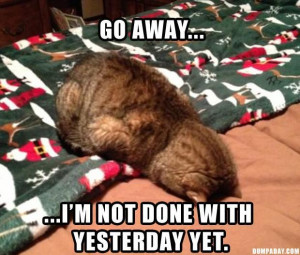 tagged with Funny Animal Pictures - 60 Pics