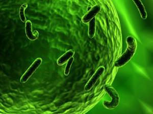 CDC's 'Nightmare Bacteria' Reveals Need for Natural Medicine