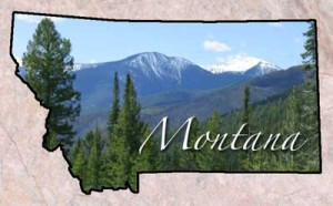 Montana Life Insurance Term Life Insurance Quotes Online