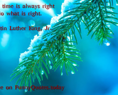 Funny motivational quote by Martin Luther King, Jr.