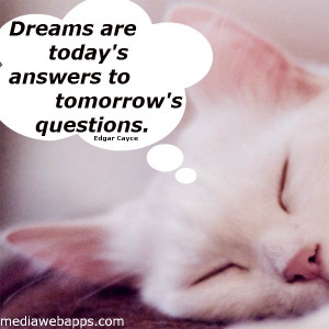 ... questions, quote, quotes, saying, sayings, sleepy cat, tomorrow, words