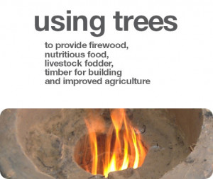 ... , we can help move some of the world’s poorest Beyond Subsistence