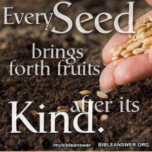 Every seed brings forth fruit after its kind. Sow the seed under right ...