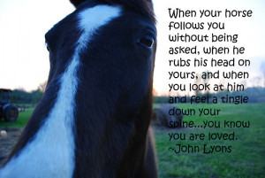 Horse Quotes About Trust Horse quotes xd