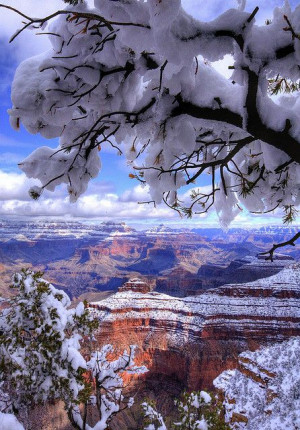 Grand Canyon, Arizona Taken from the Southern Rim after a heavy snow ...