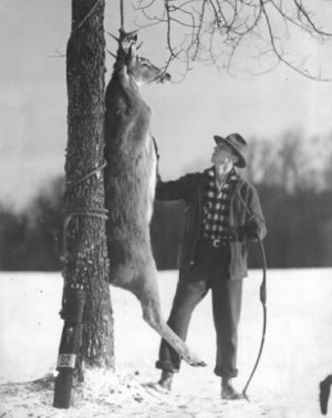 Fred Bear and White-tailed Deer