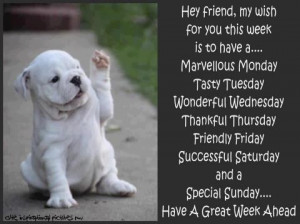 Already have an account? Log in now