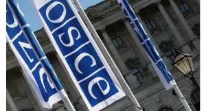 OSCE representative to Ukraine resigns -- Puppet Masters -- Sott.net