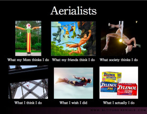 Aerialist Meme