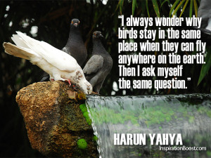 Bird Quotes Harun Yahya