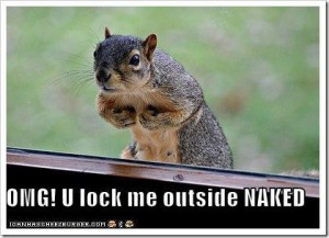 Funny quote about squirrels You lock me outside naked