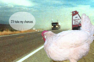 Why Did The Chicken Cross The Road?