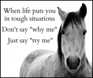 Horse People Quotes (FB)