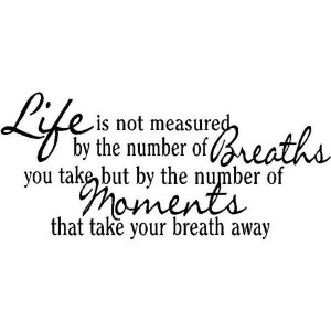 Wall Quotes Life Is Not Measured By The Breaths Vinyl Wall Quote ...
