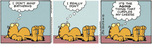 Daily Garfield's Cartoons and Twin Cities News Blog