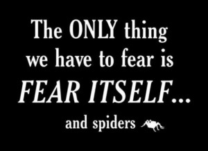 Especially spiders!!!