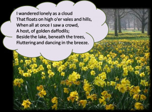 daffodils poem