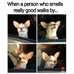Smelling-Good.jpg