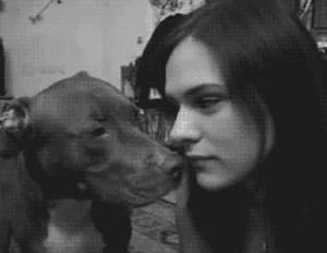 Dog licking girl kiss gif :p d: - :p d: - :p d: - :p d: - :p d: - d ...