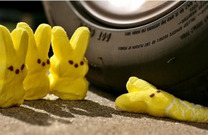 marshmellow bunny run over Image