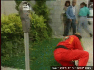 Dragon Fly Jones Slip