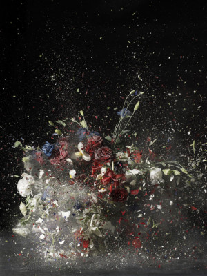 Ori Gersht :: Time After Time: Blow Up No. 3 (02007) :: Image at ...