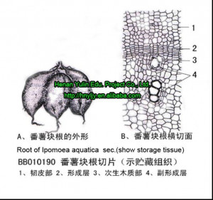 ... what you want? 1 request,multiple quotations Get Quotations Now