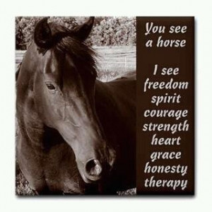 Horses are just amazing creatures!