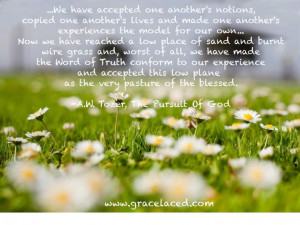 AW Tozer, The Pursuit of God