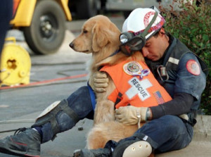 An exhausted hero rescue worker and his rescue dog