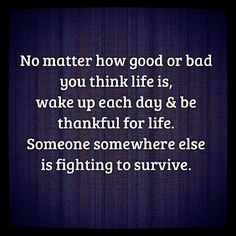 ... fighting to survive. #Quote #Motivation #Inspiration #Life #Thankful