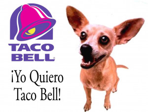 117222-taco-bell-taco-bell-dog.jpg