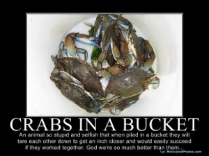 crabs-in-a-bucket-syndrome