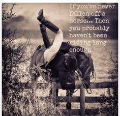 Falling Off Your Horse Quotes