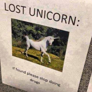 Lost-unicorn-resizecrop--.jpg