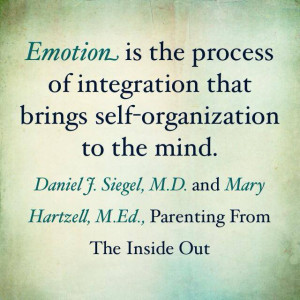 Dan Siegel Brain Hand Model