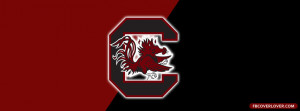 south carolina gamecocks logo
