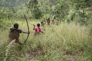 ... are the signs law allowing bow and arrow deer hunting sundays Pictures