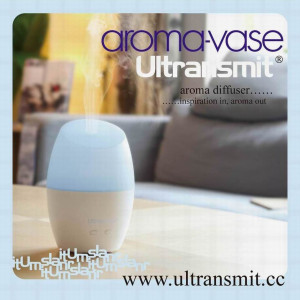 Ultrasonic Aroma Diffuser Vase