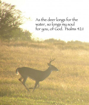 11/27/04 Deer and Hog Hunt - Psalms 42:1