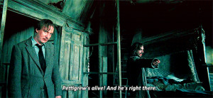 Rupert Grint Harry Potter Gifs Sirius Black Gary Oldman Goslingsr